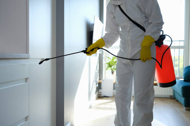 Best Preventive Mold Services in Genesee, ID