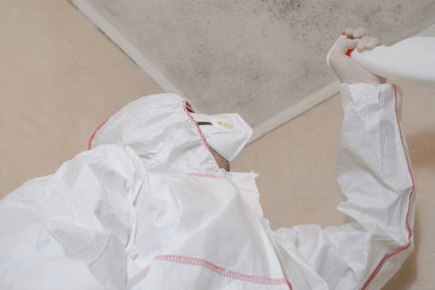 Best DIY Mold Remediation Support Services in Genesee, ID