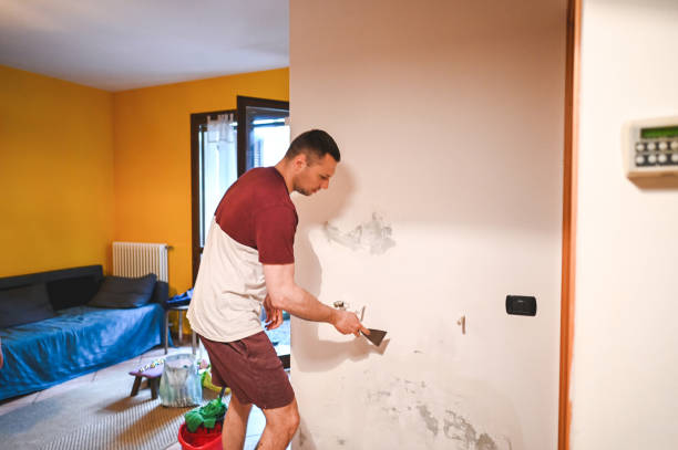 Best Post-Remediation Services in Genesee, ID
